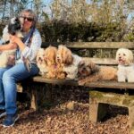 CKC HAVANESE BREEDER NEAR ME