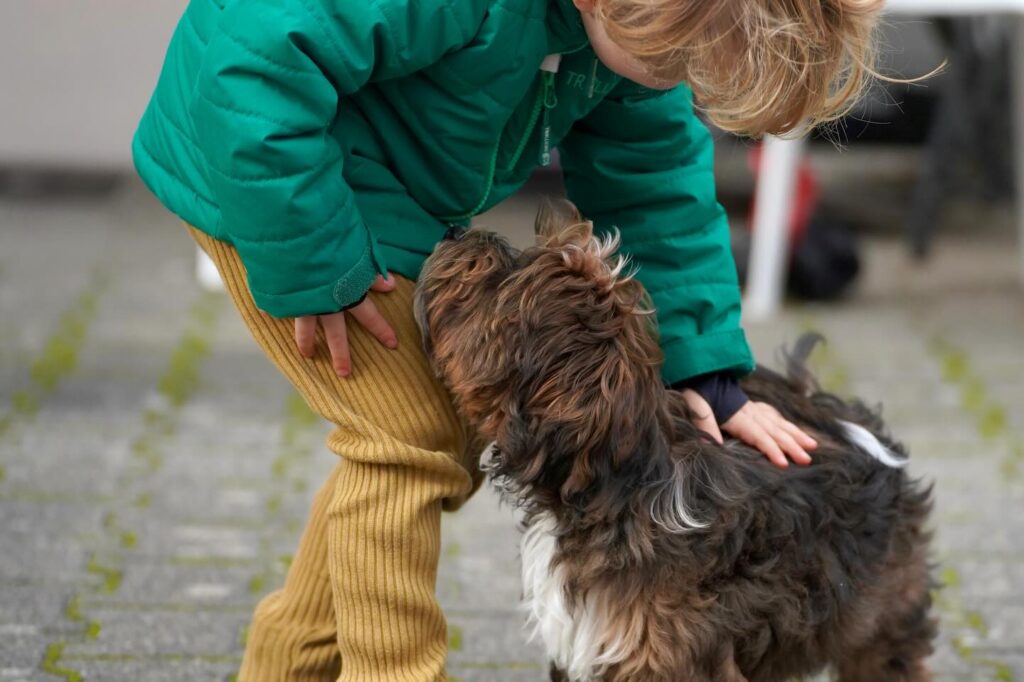 Havanese Breeder Reviews