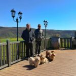 CKC HAVANESE BREEDER NEAR ME