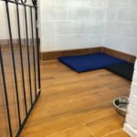 ETHICAL AND REGISTERED CKC HAVANESE BREEDER BASED IN CANADA