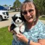 HAVANESE BREEDER TESTIMONIALS & REVIEW